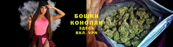 стаф Надым