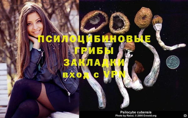 стаф Надым