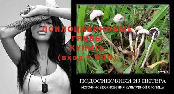стаф Надым