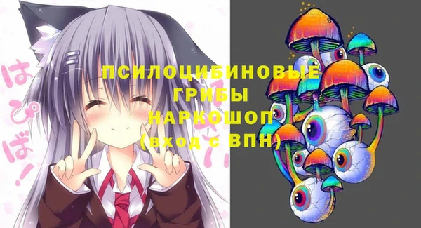 стаф Надым