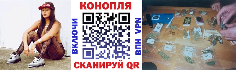 Бошки Шишки индика  закладка  Микунь 